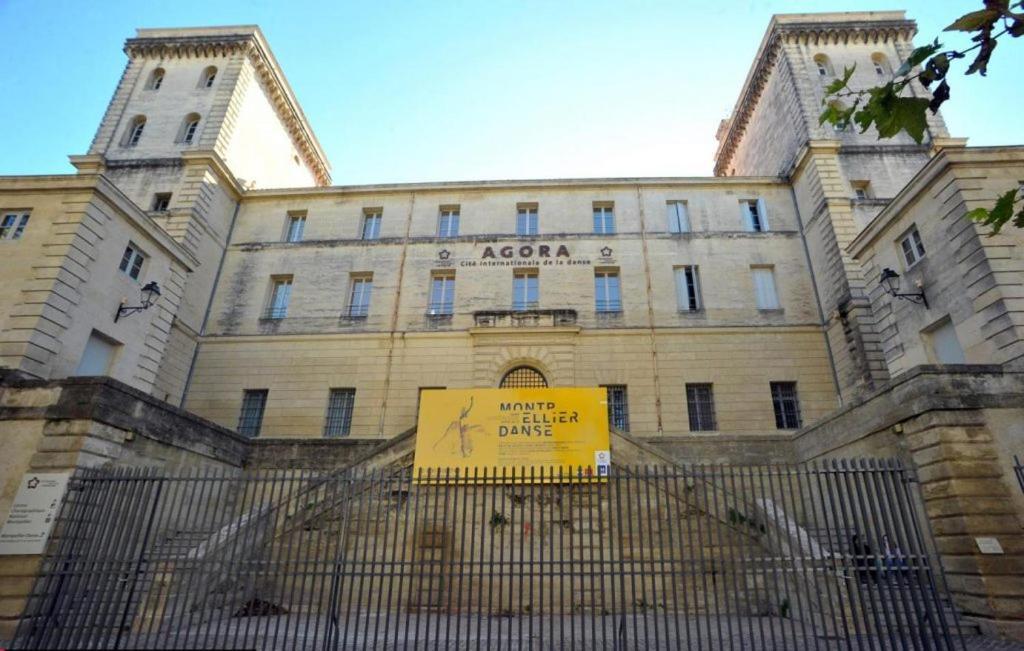 Apartament Superbe T2 Avec Terrasse Montpellier Zewnętrze zdjęcie